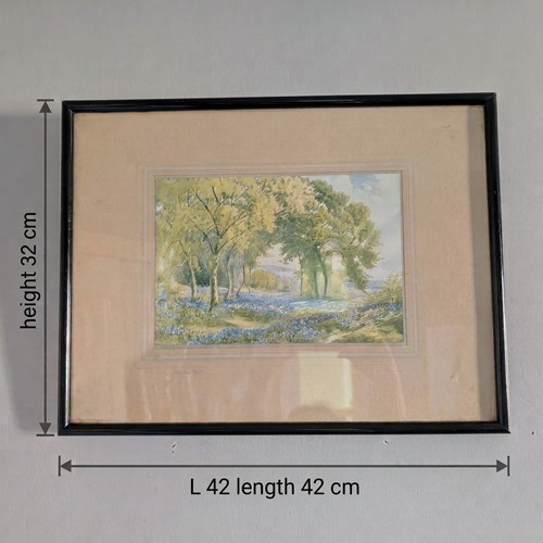 Vintage 1930s framed bluebell - 1930s,