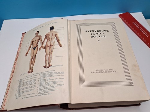 Vintage 1930 40s everybody s - vintage, "everybody's